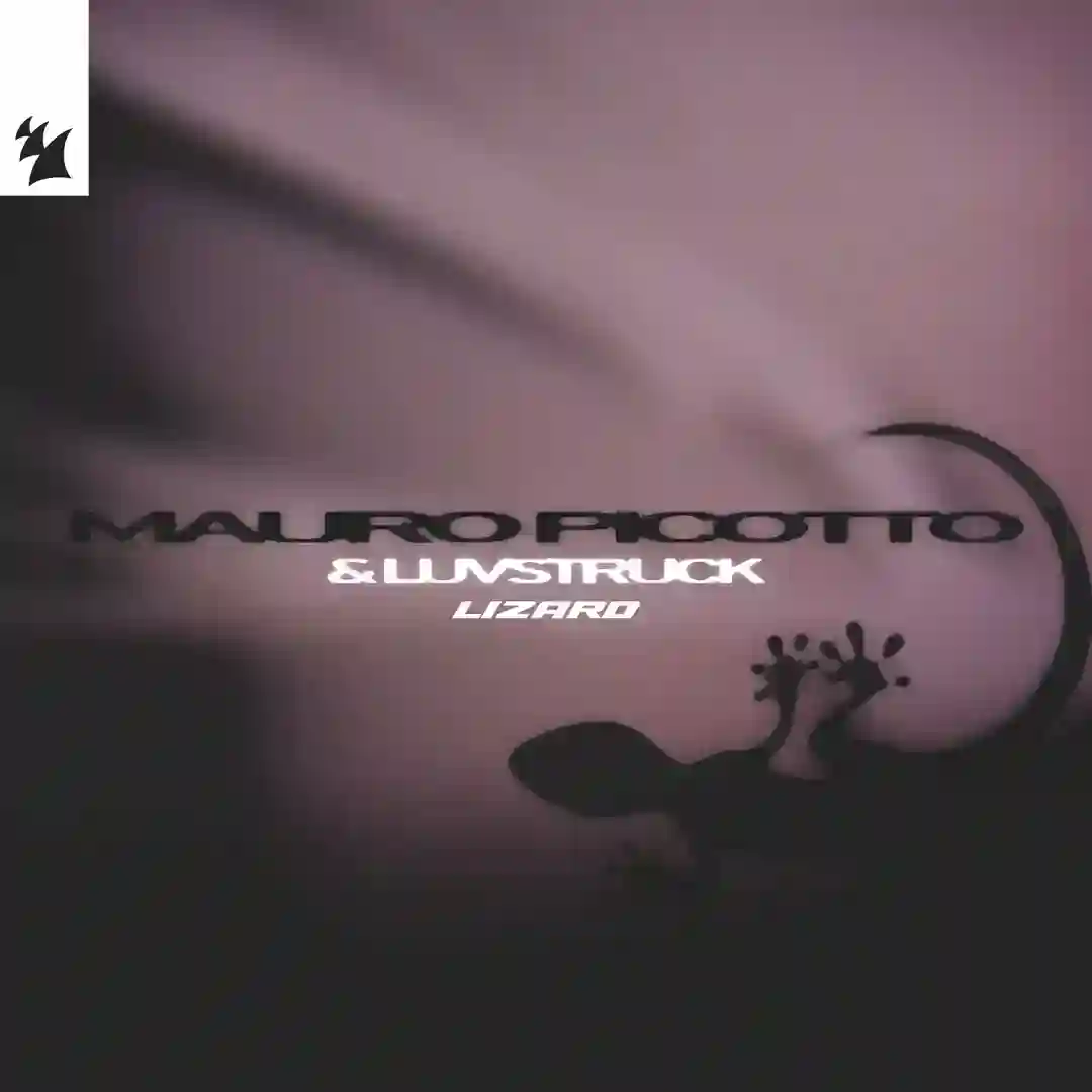 Lizard cover