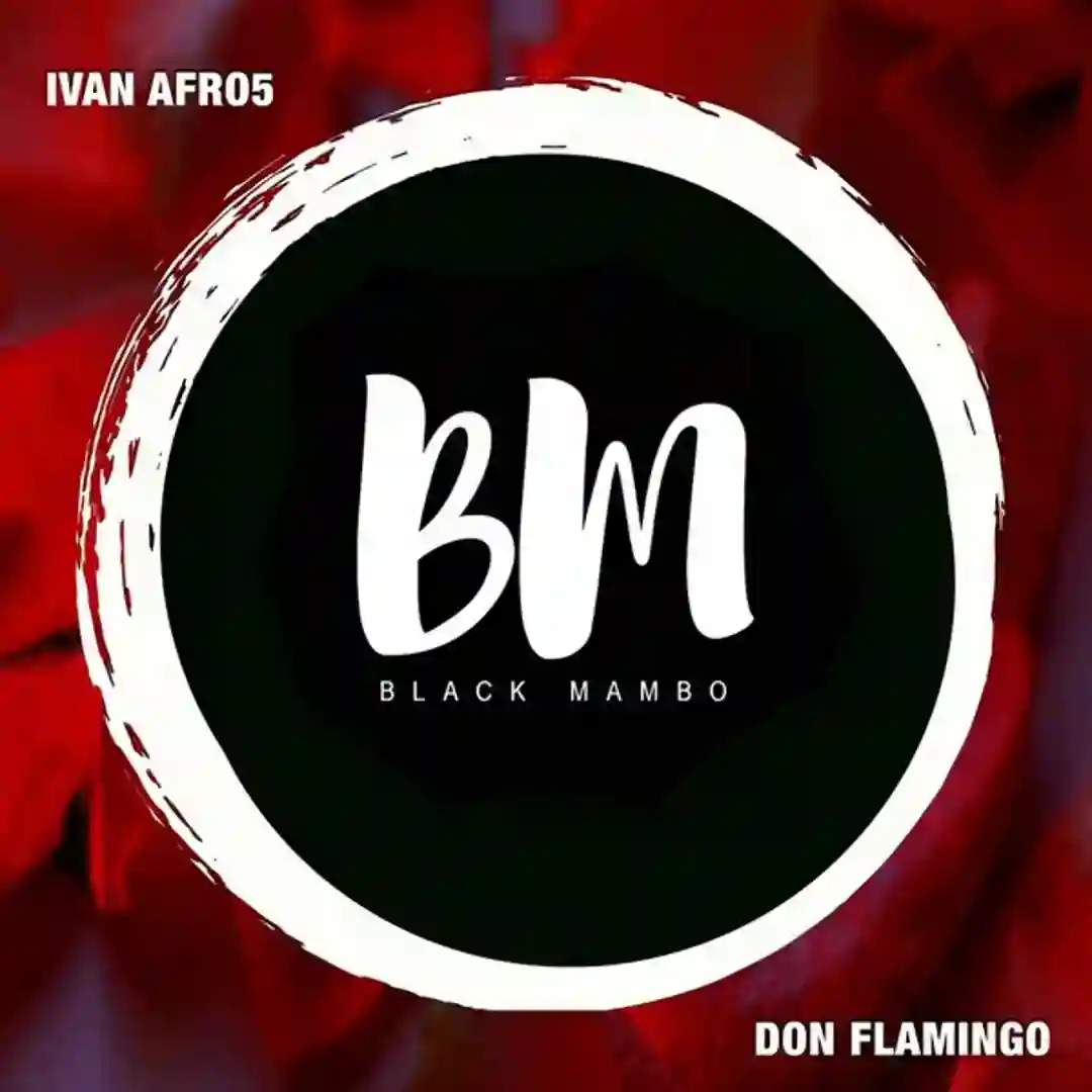 Don Flamingo cover