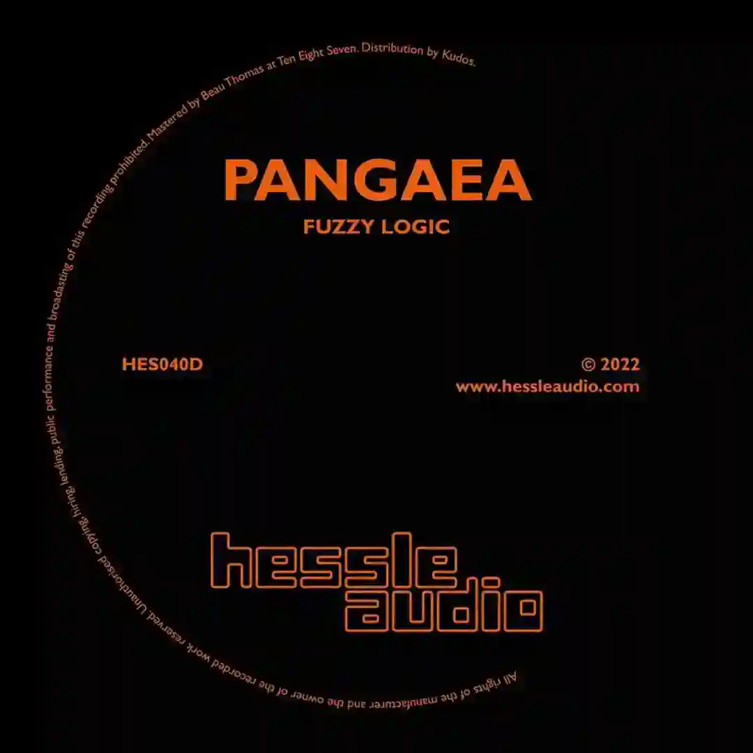 Fuzzy Logic (Edit) cover