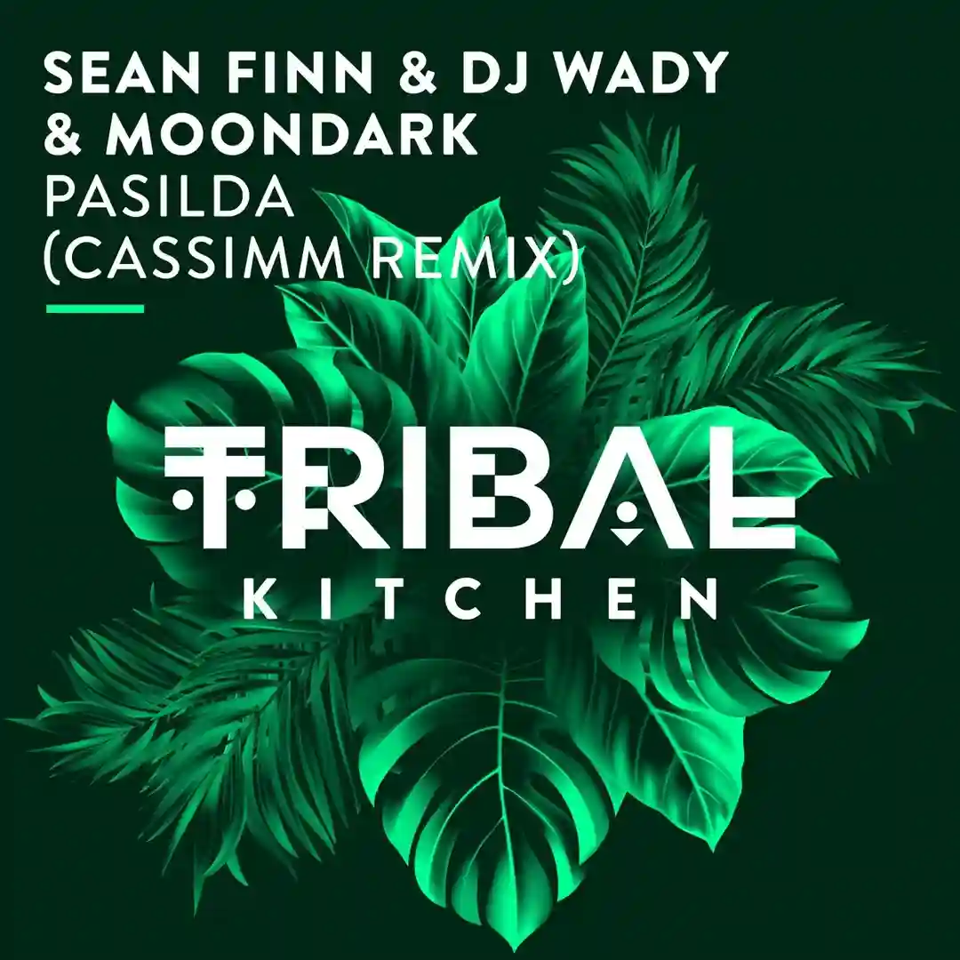 Pasilda (CASSIMM Remix) cover