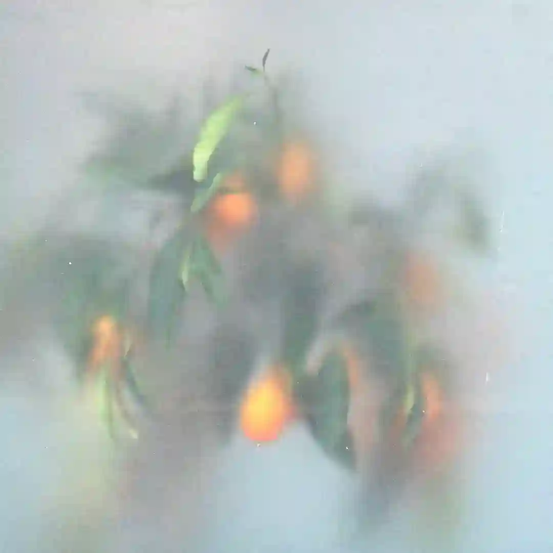 Secret Garden cover