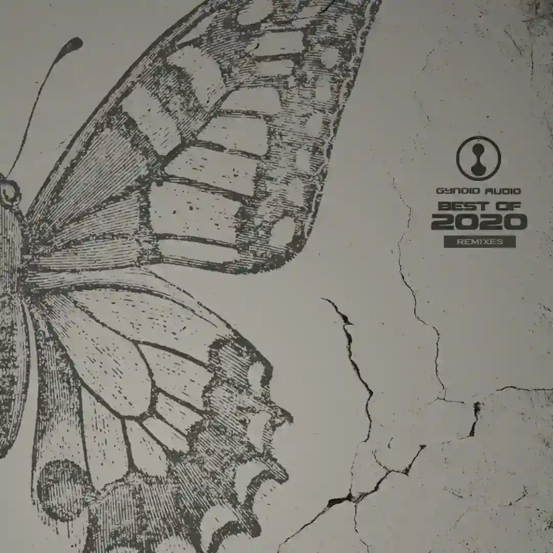 2006 (Hans Bouffmyhre Remix) cover