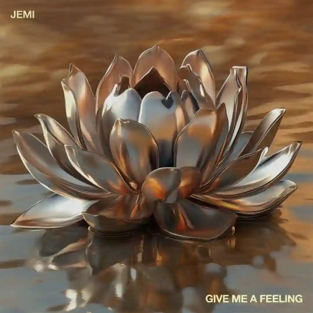 Give Me A Feeling (Extended Mix) cover