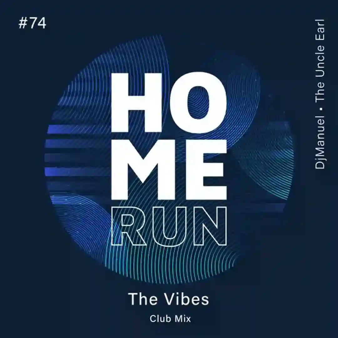 The Vibes cover
