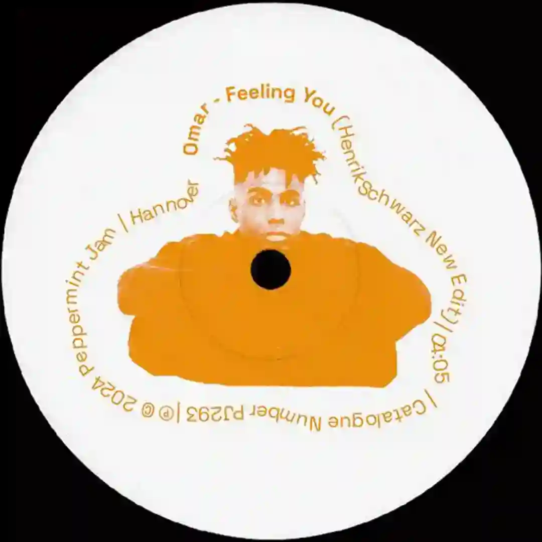 Feeling You (Henrik Schwarz New Edit) cover