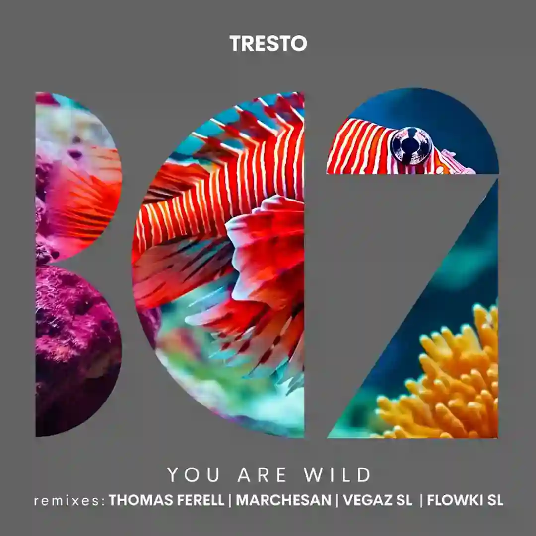 You Are Wild (Marchesan Remix) cover