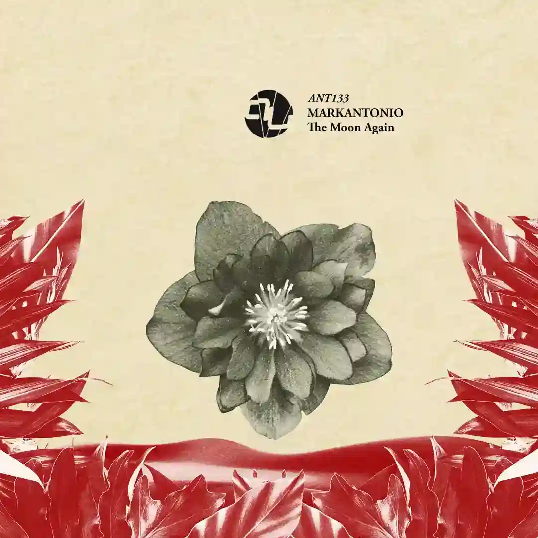Seven cover