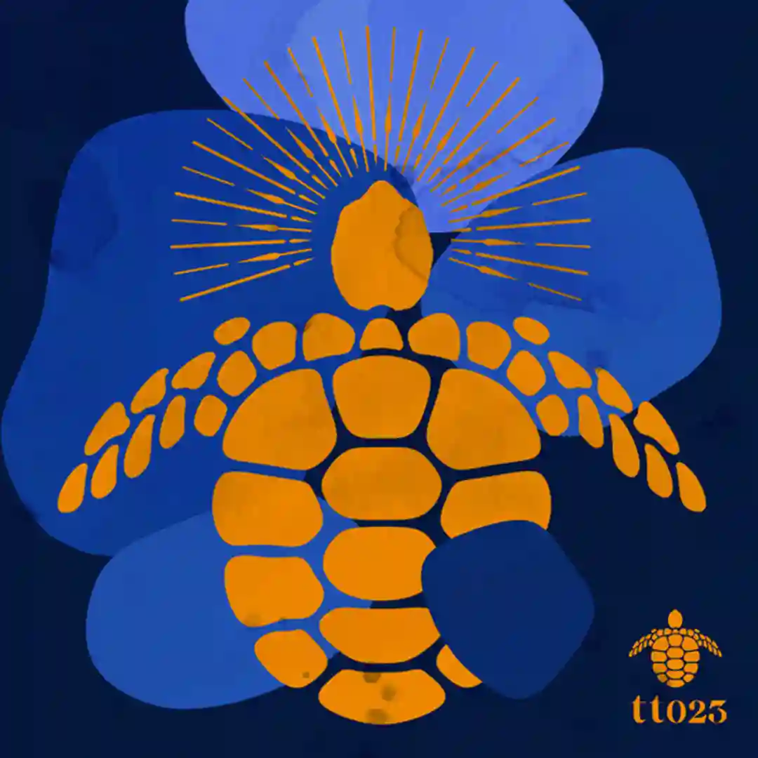 Ahora (Original Mix) cover
