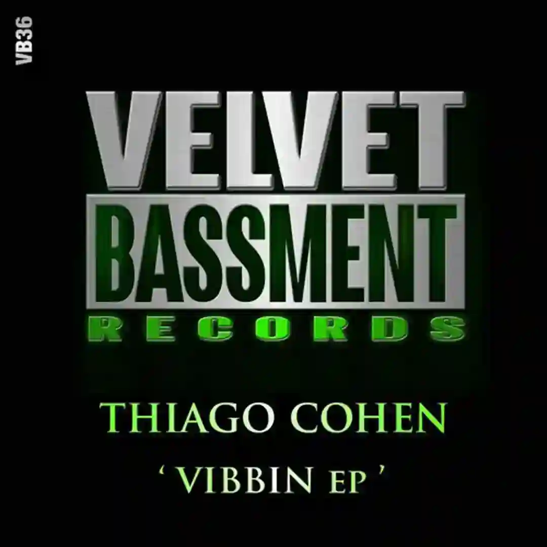 Vibbin cover