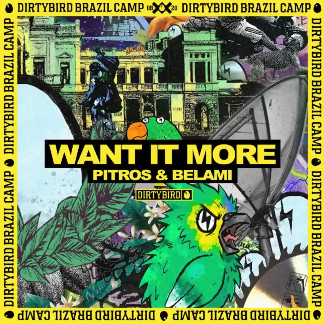 Want It More (Extended Mix) cover