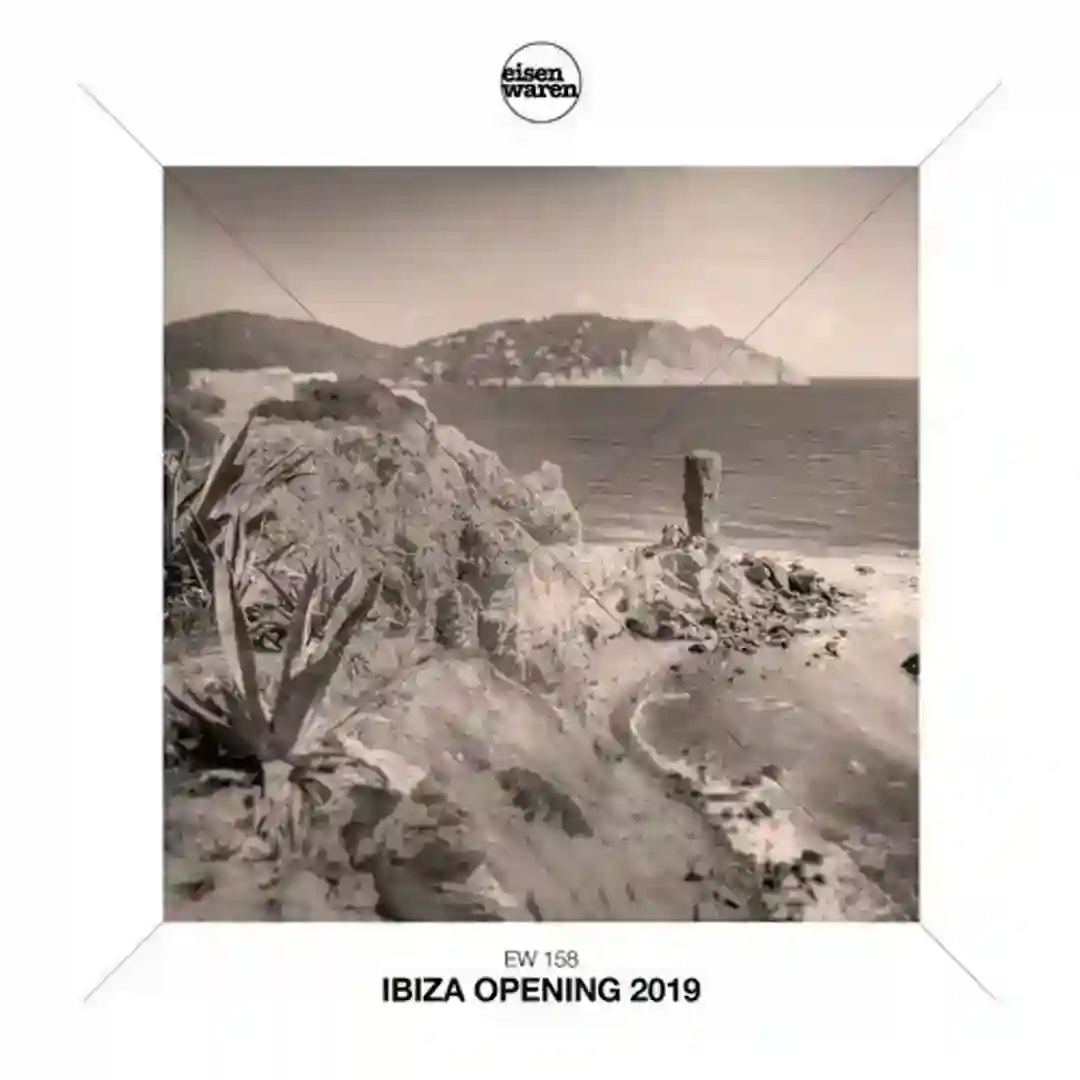 Missilie (Original Mix) cover