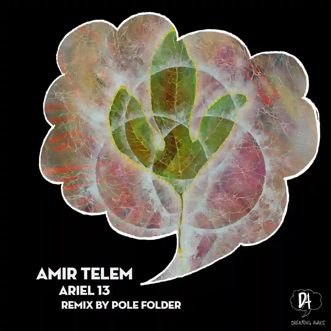 Ariel 13 (Original Mix) cover