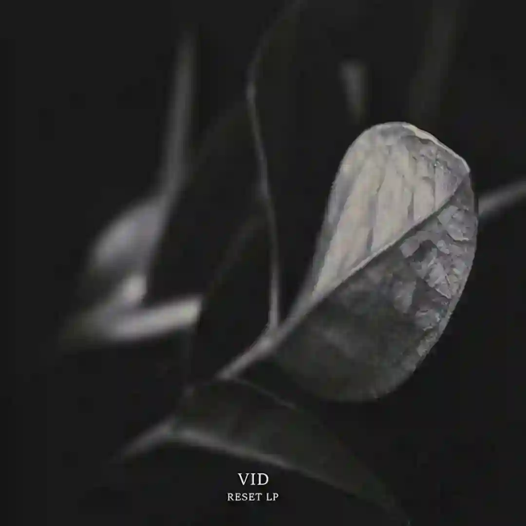 Zdetool cover