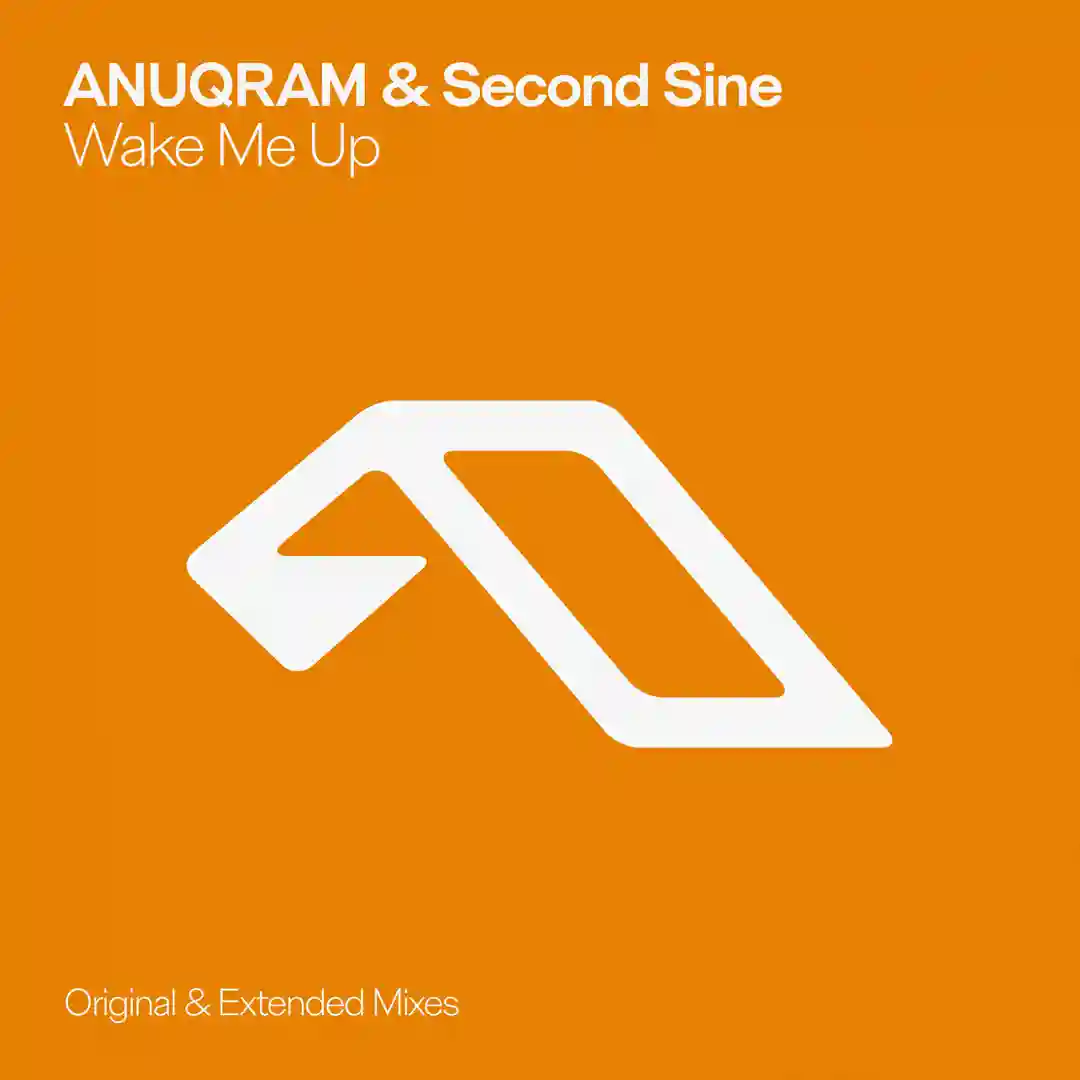 Wake Me Up cover