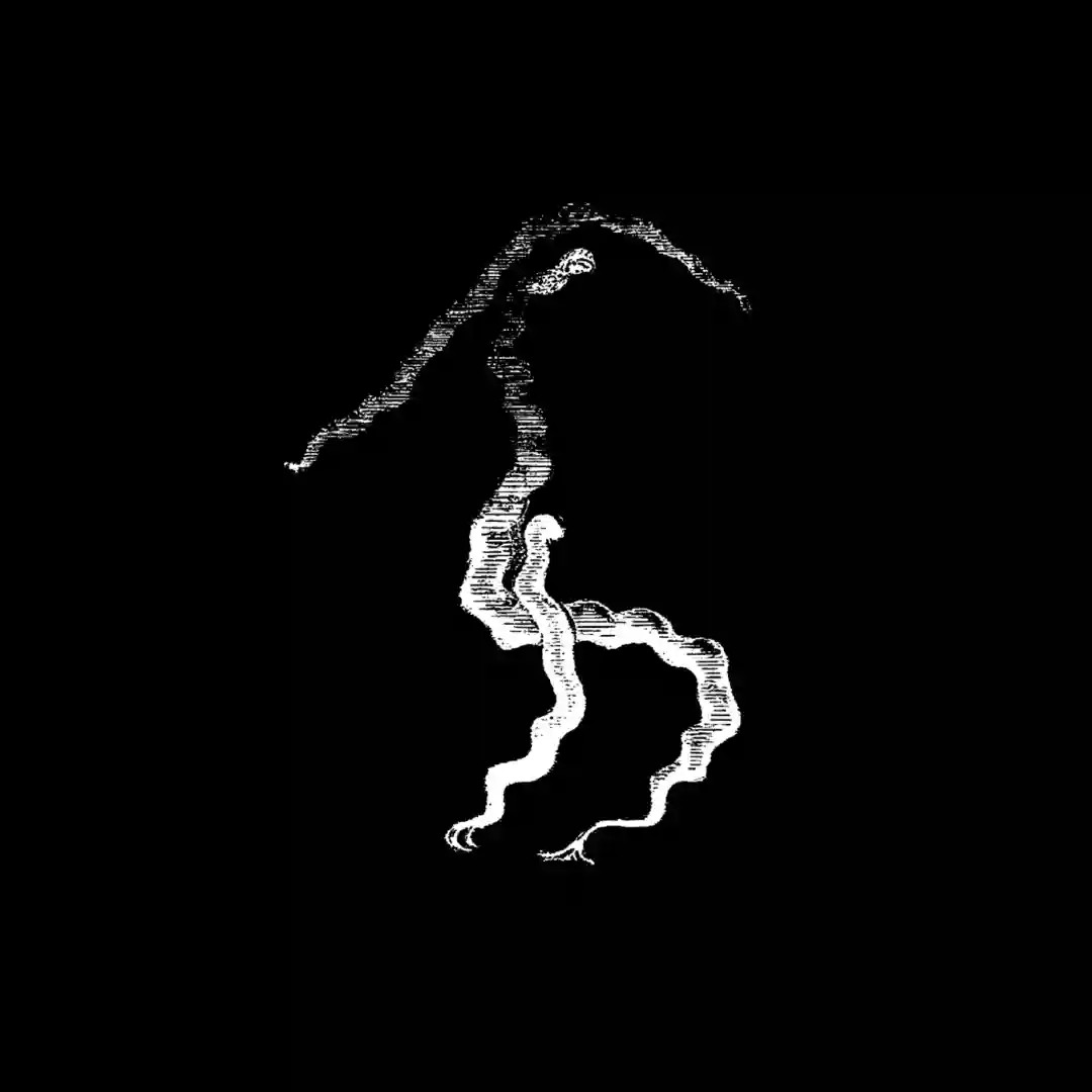Model Collapse (Basic Rhythm Remix) cover
