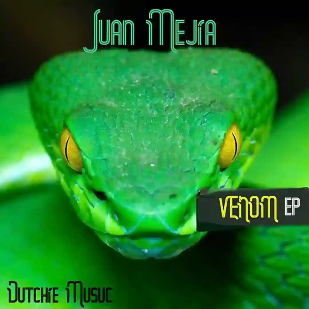 Venom (Original Mix) cover