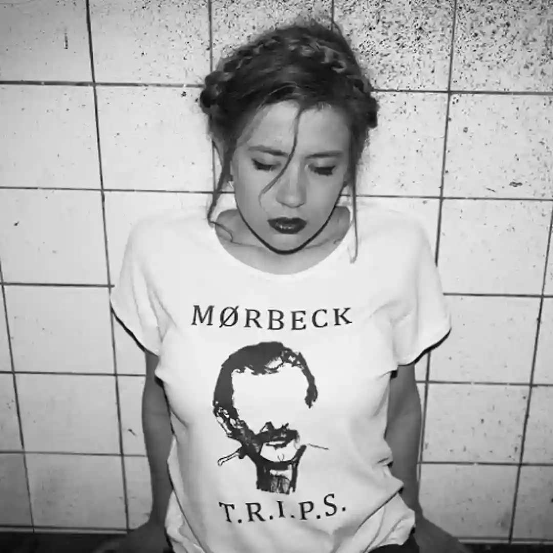 Put The Swords Down cover