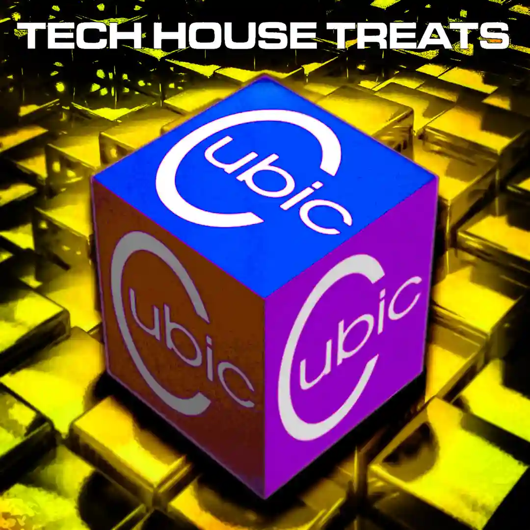 Zark (Original Mix) cover