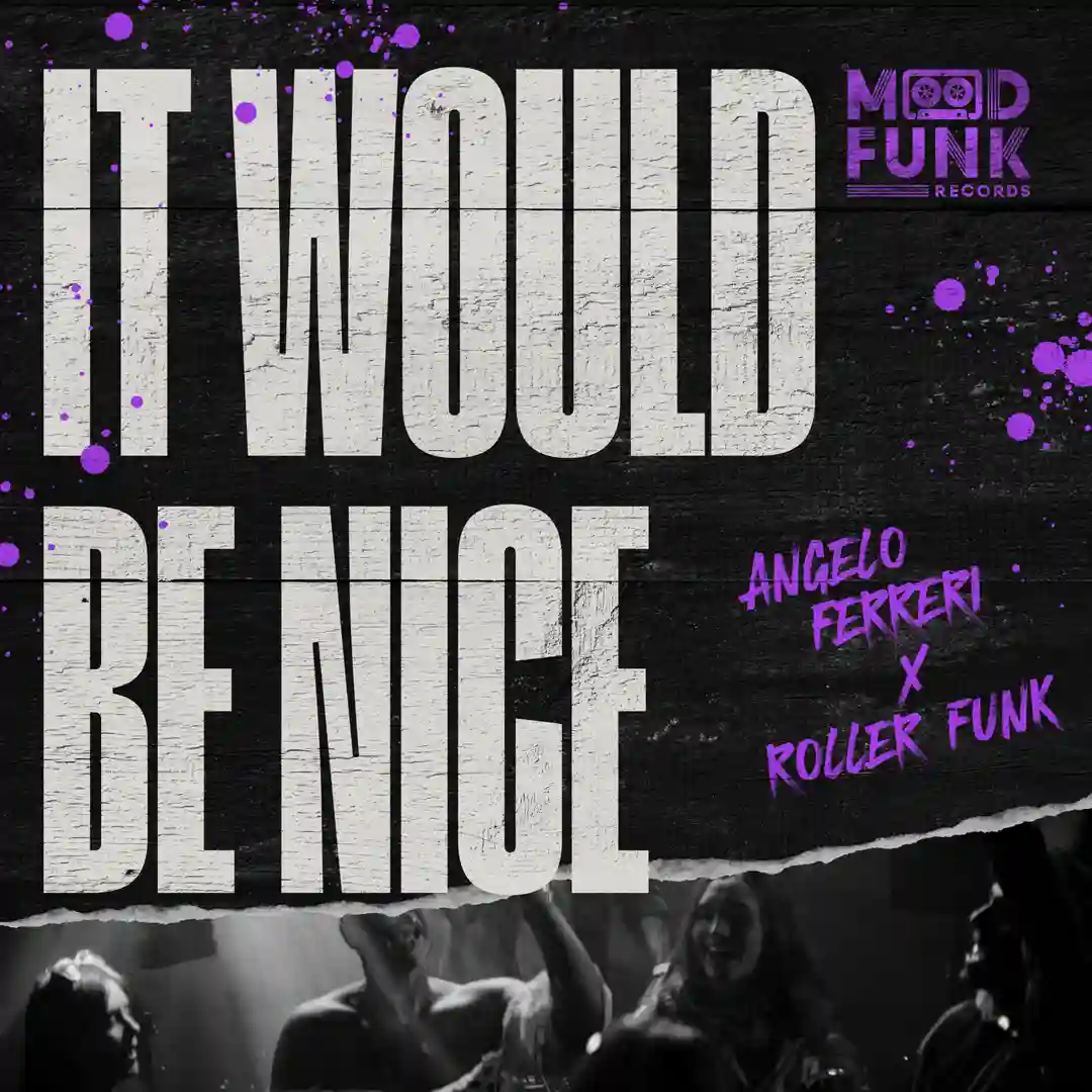 It Would Be Nice cover