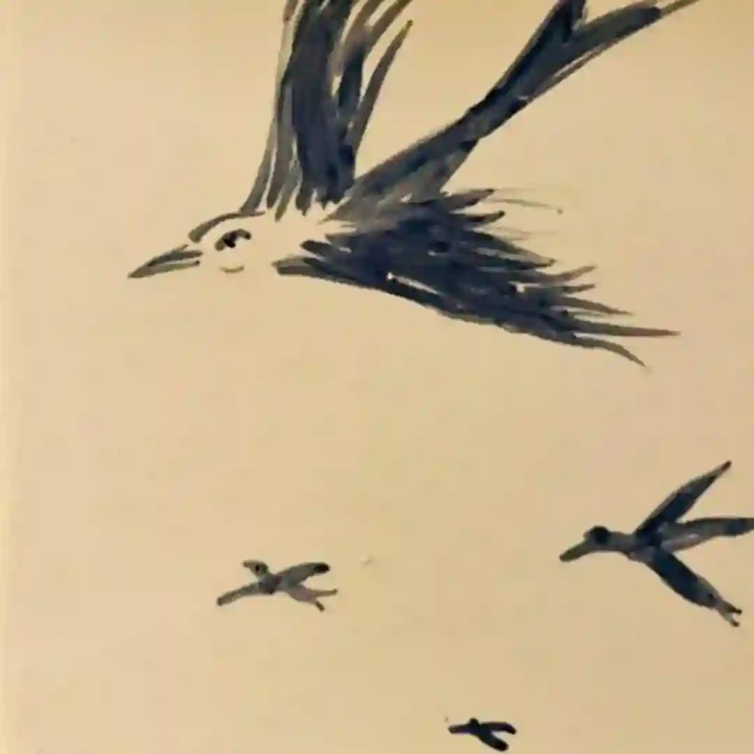 NXS cover