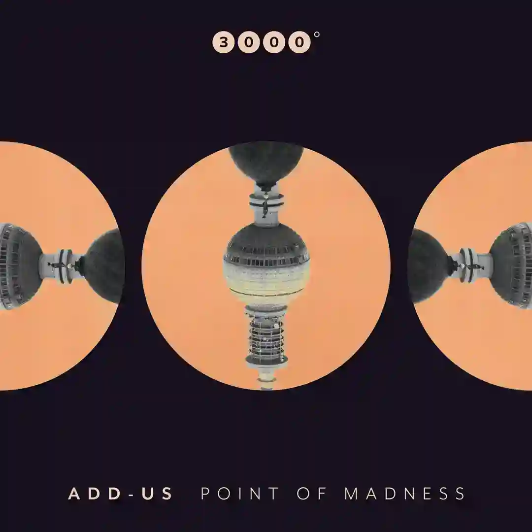 Point of Madness cover