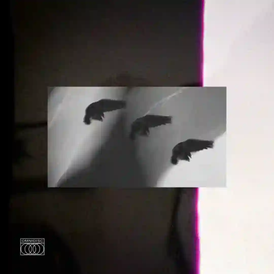 FPM (Edit) cover
