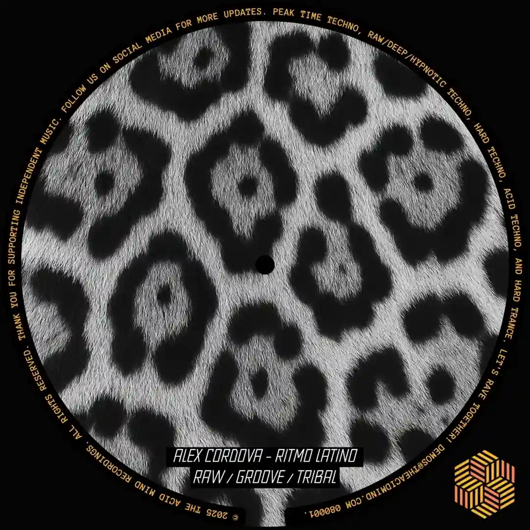 Cash Grabs and Greed (Original Mix) cover
