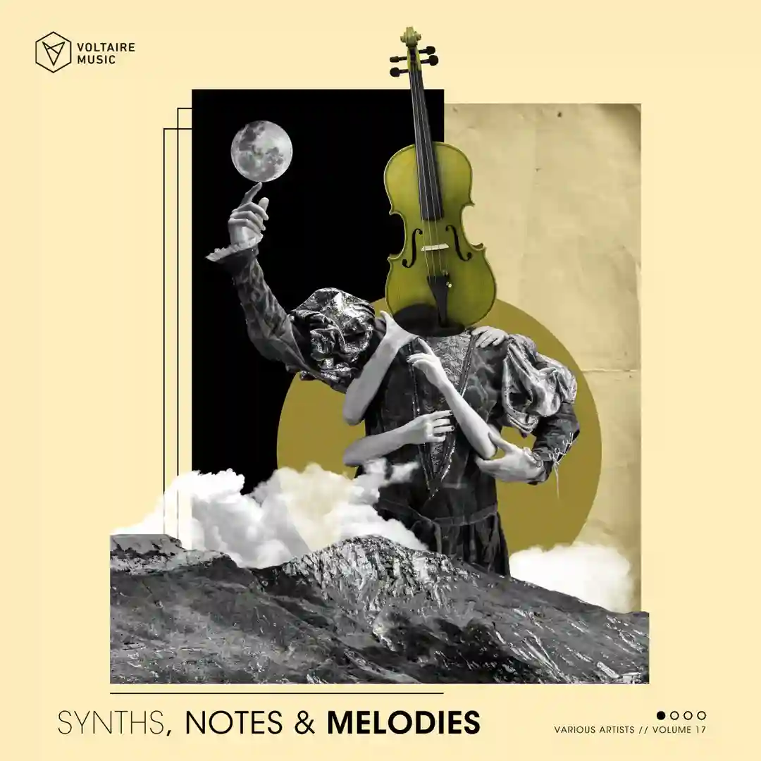 Synths, Notes & Melodies Vol. 17 cover