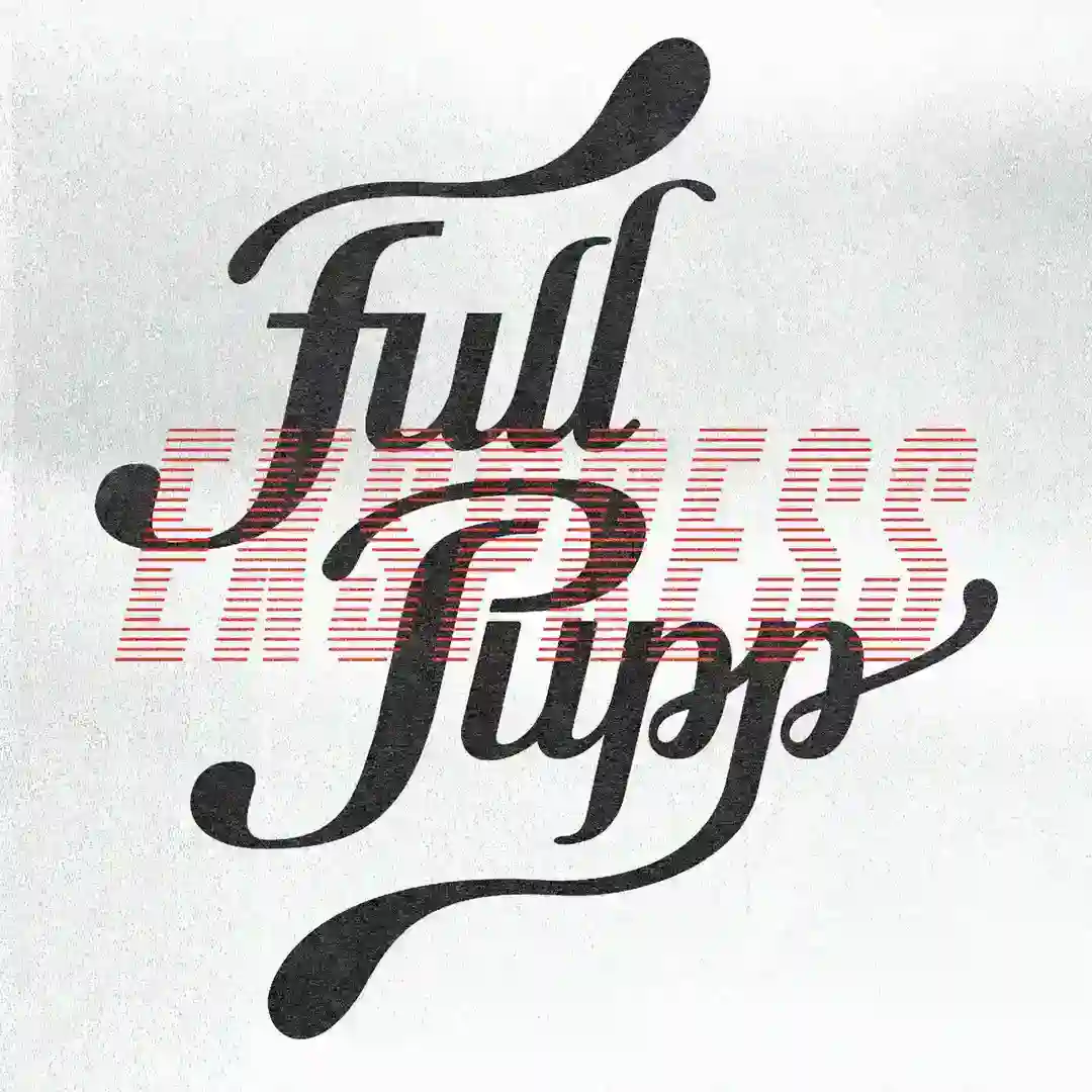 SGurvin Remixes [FPX009DIGI] cover