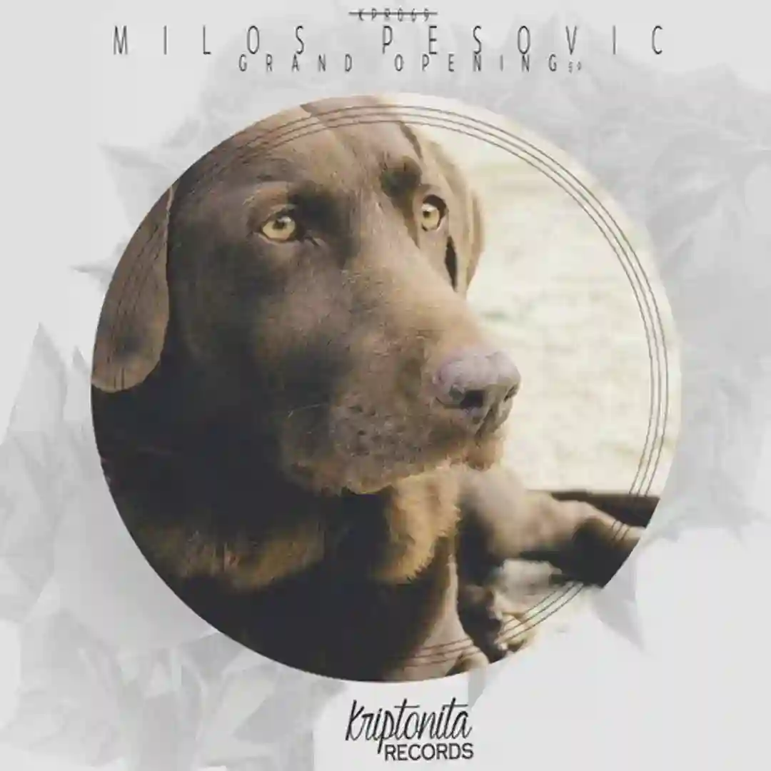 Grand Opening (Original Mix) cover