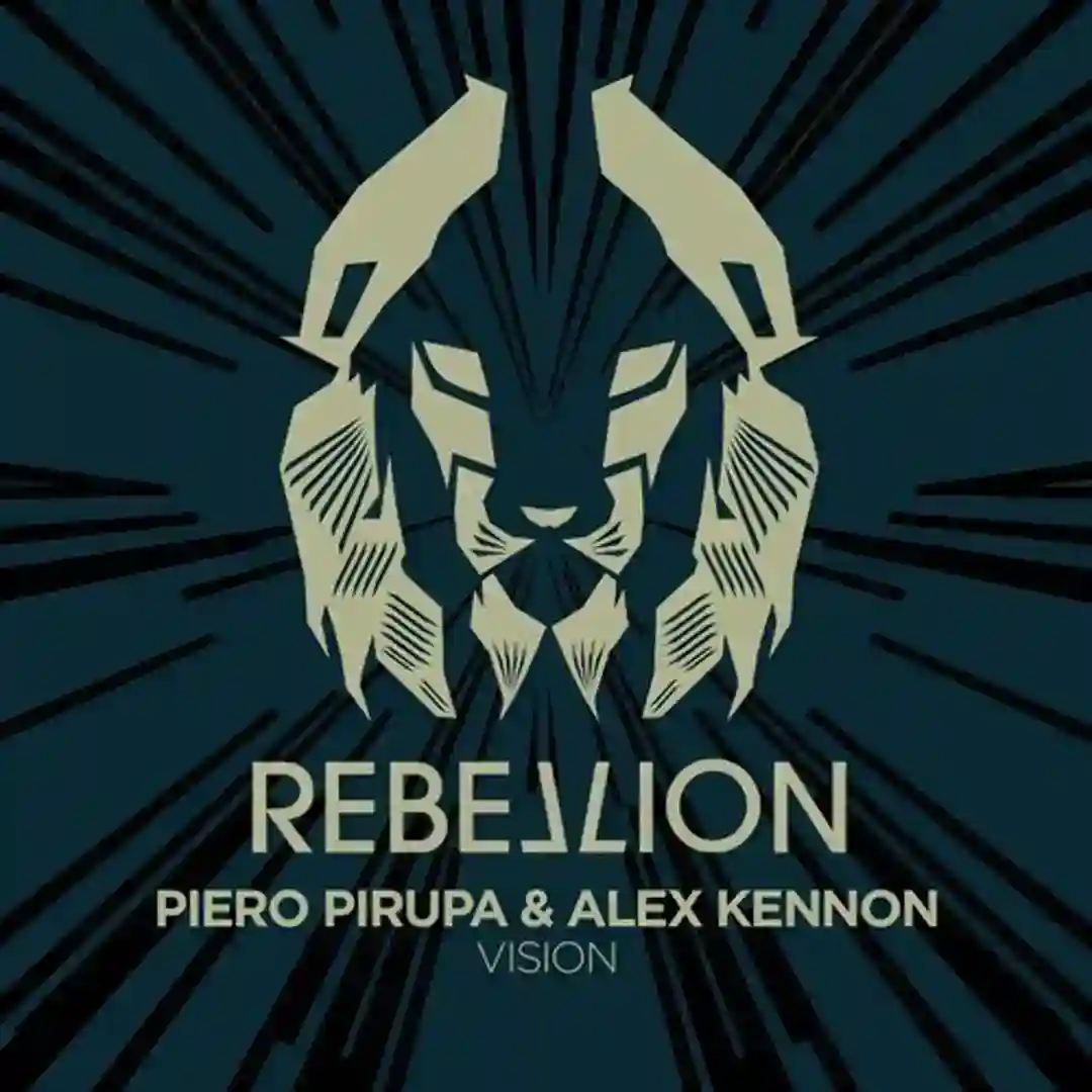 Vision cover