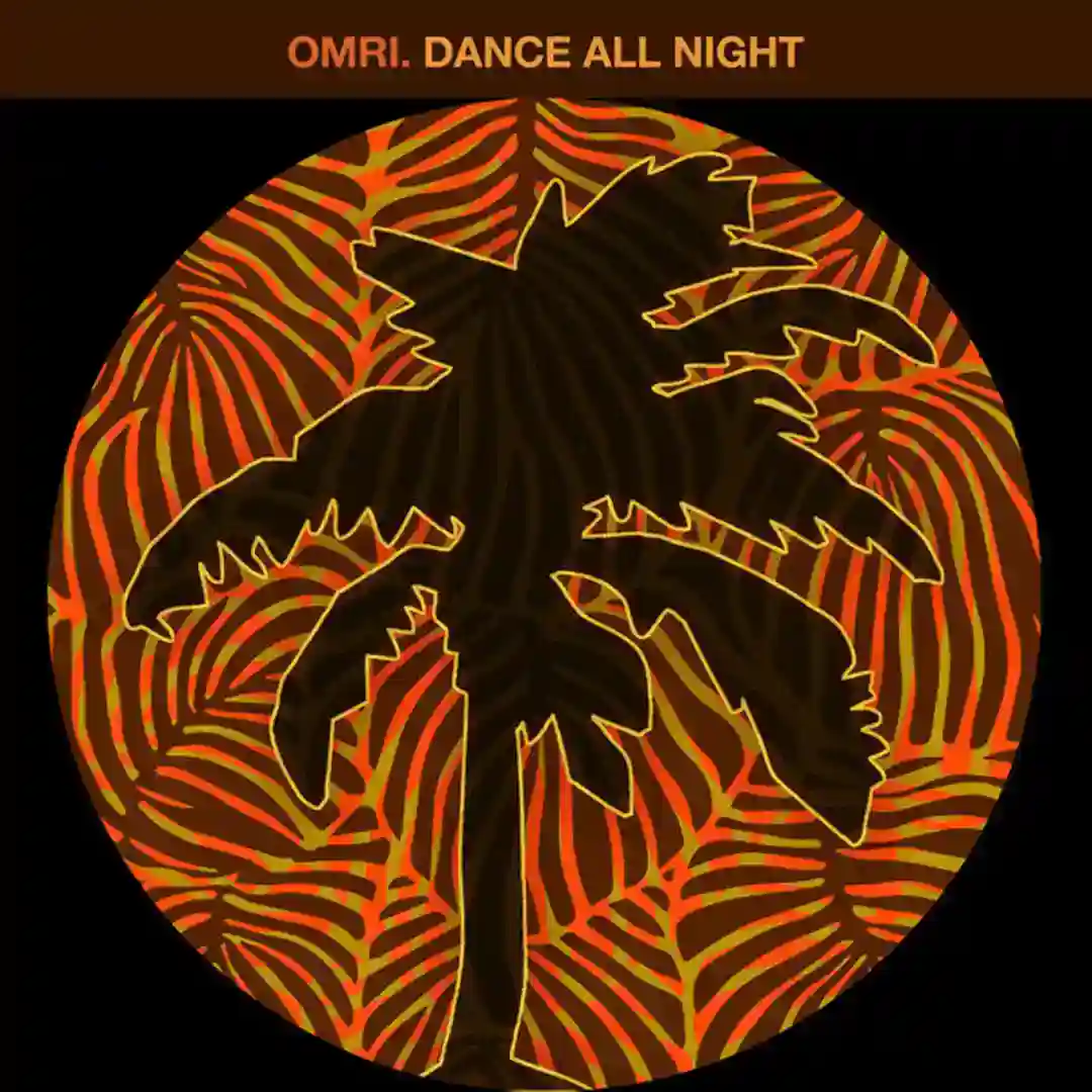Dance All Night (Don't Wanna Fight) cover