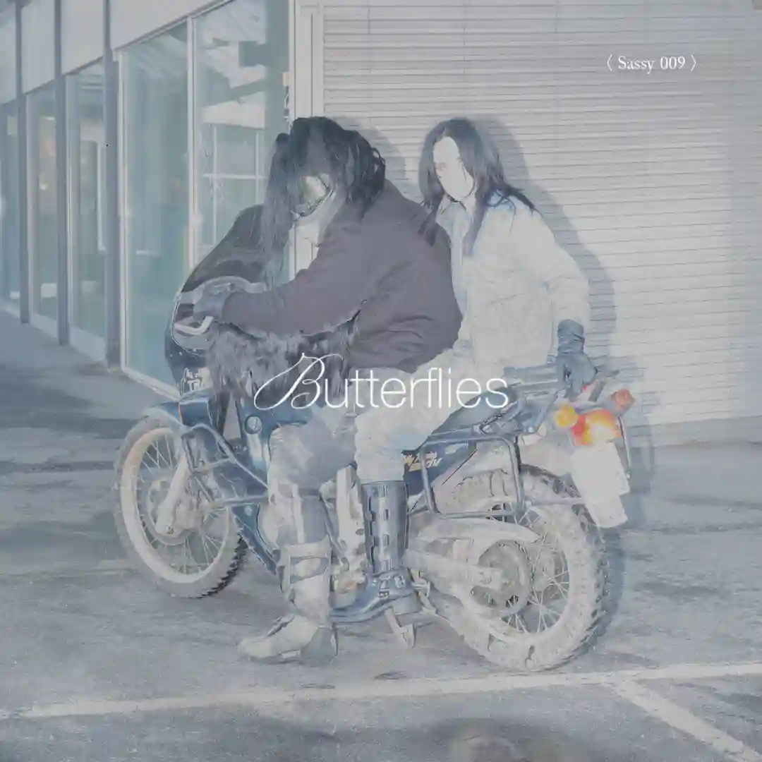 Butterflies cover