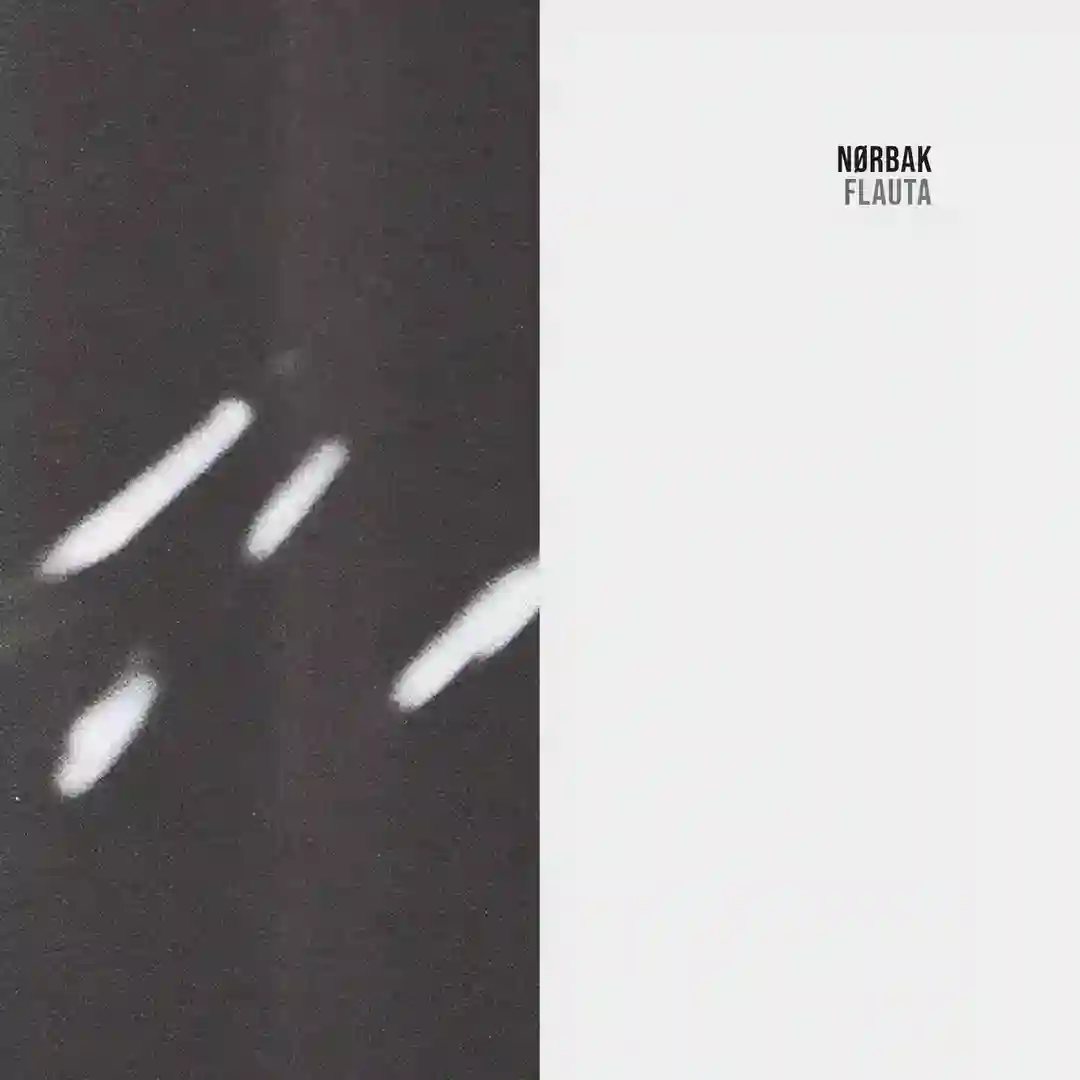 Despida (Original Mix) cover