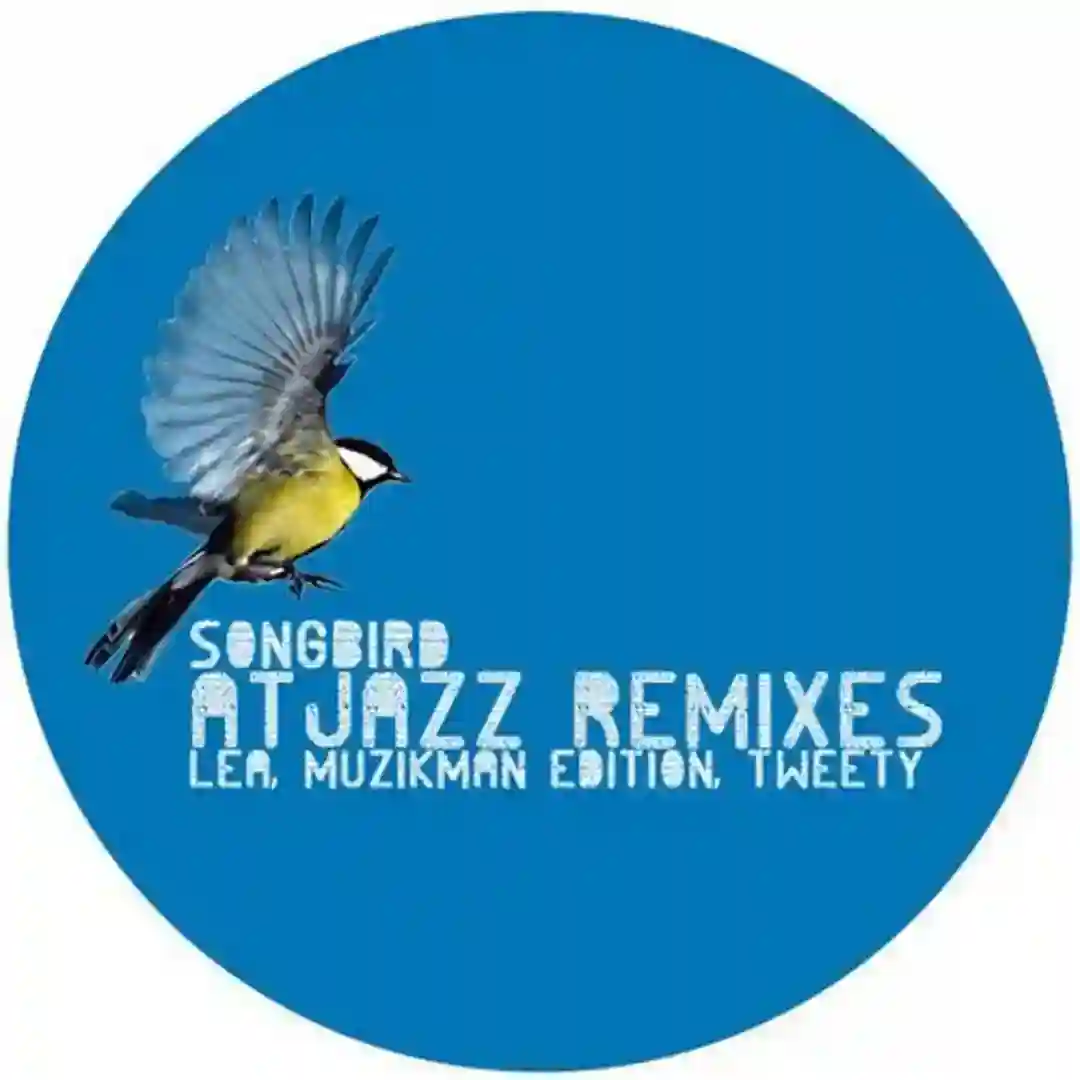 Songbird (Atjazz Love Soul Remix Radio Edit) cover