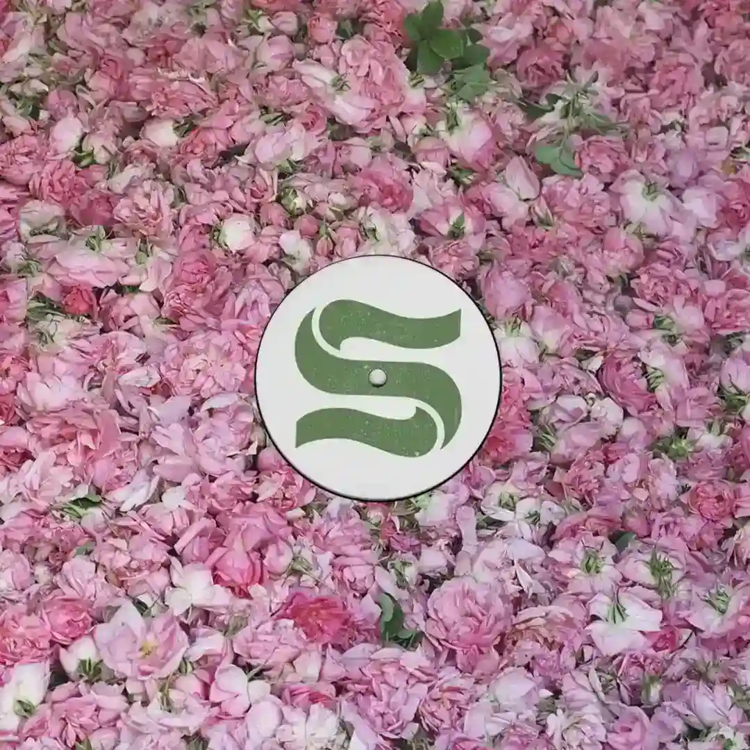 Elevation (Paul Woolford Remix) cover