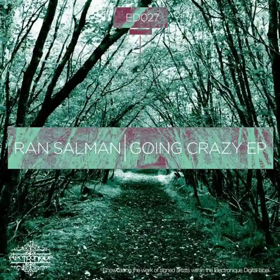 Going Crazy (Original Vocal Mix) cover