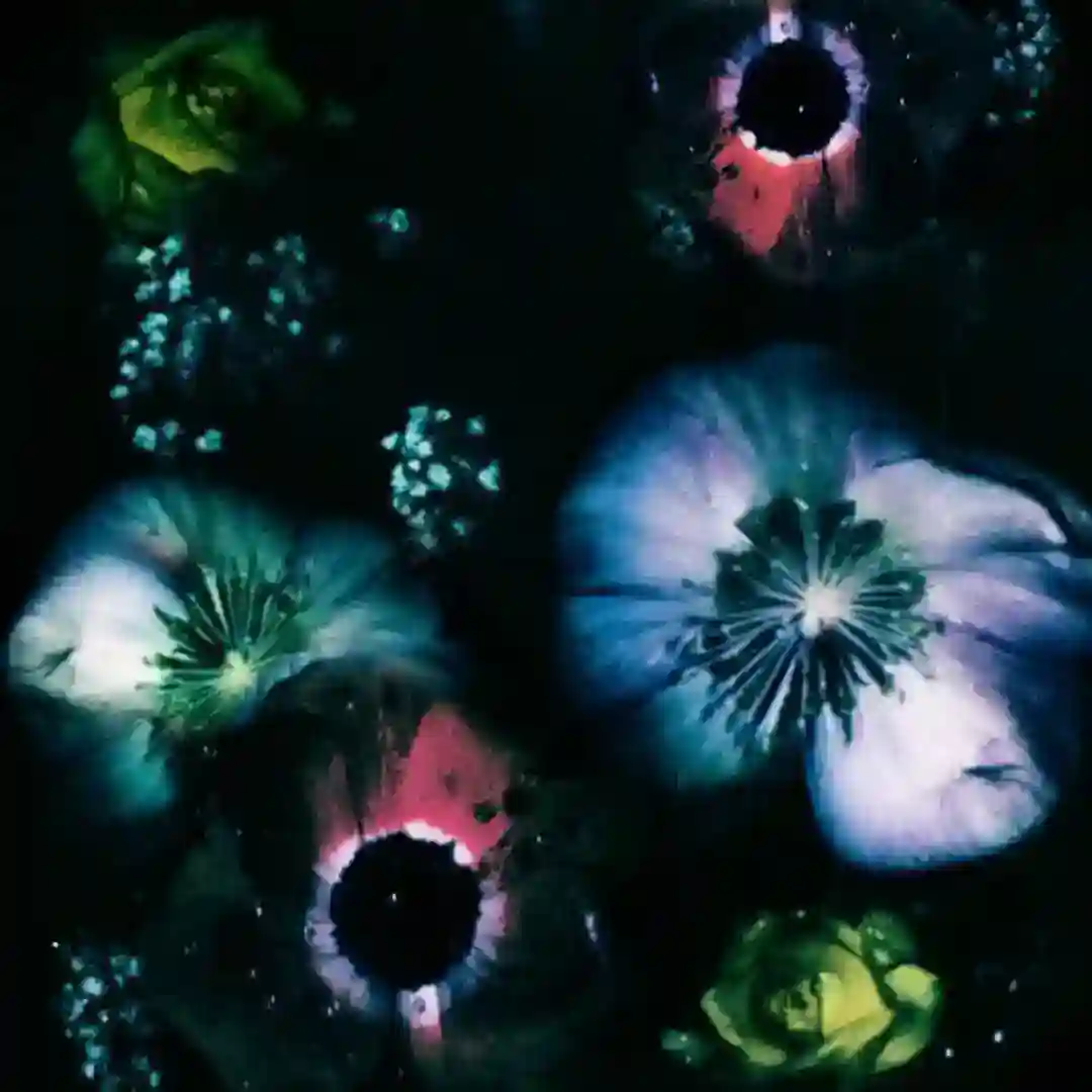Love Reversed cover