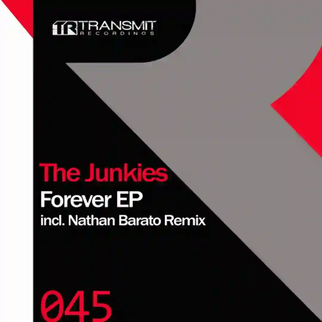 Forever (Original Mix) cover