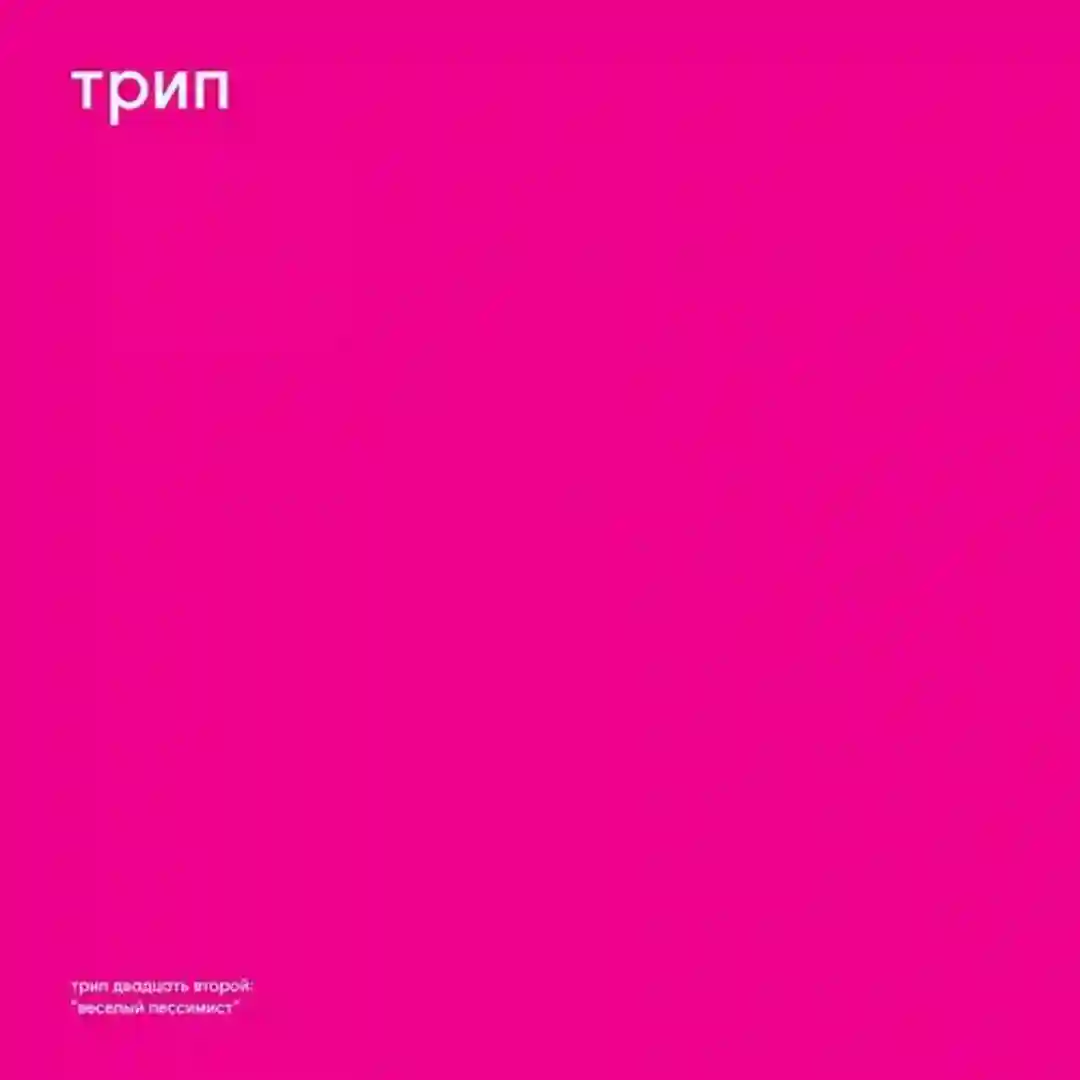 Cheerful Pessimist cover