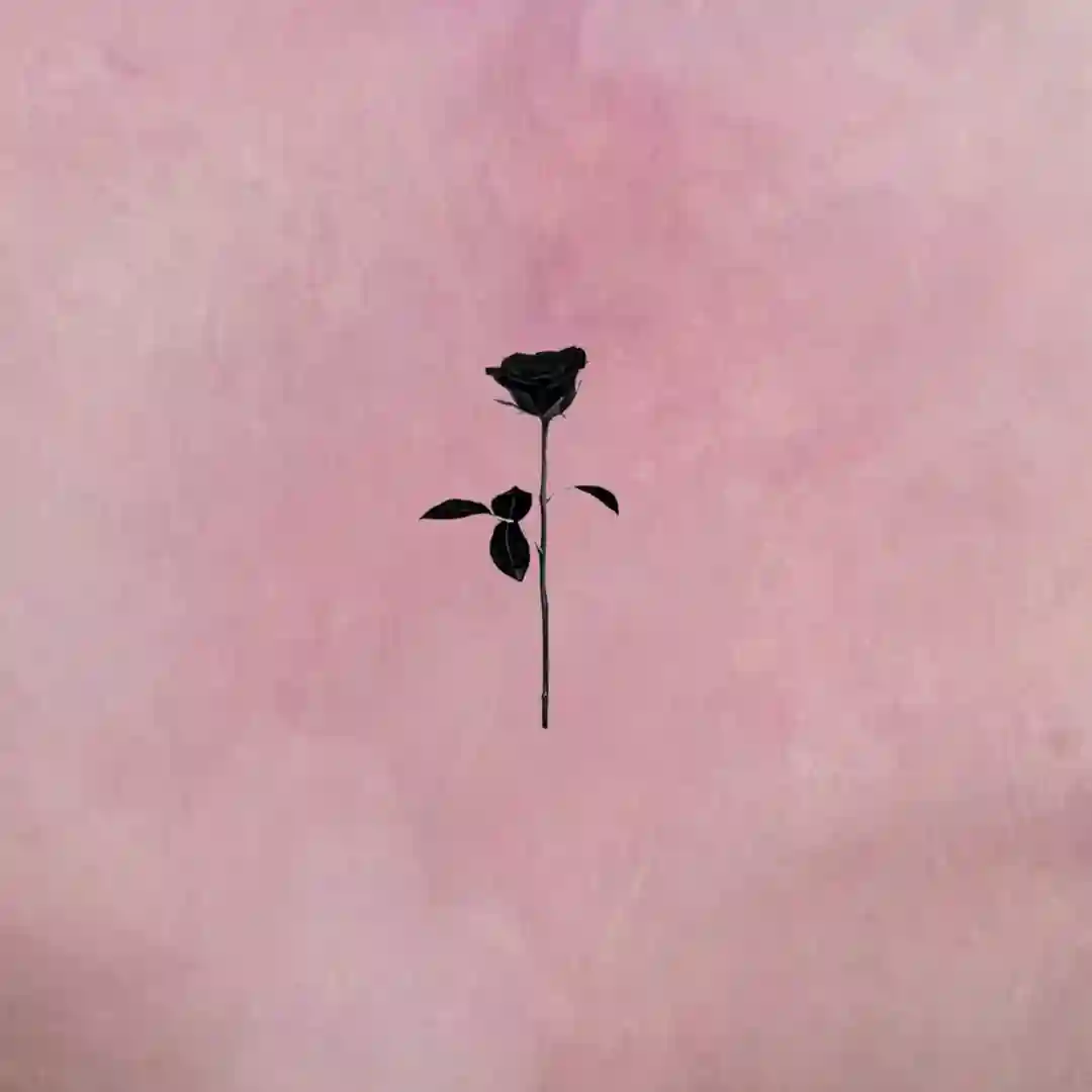 Perfectly Imperfect (Original Mix) cover