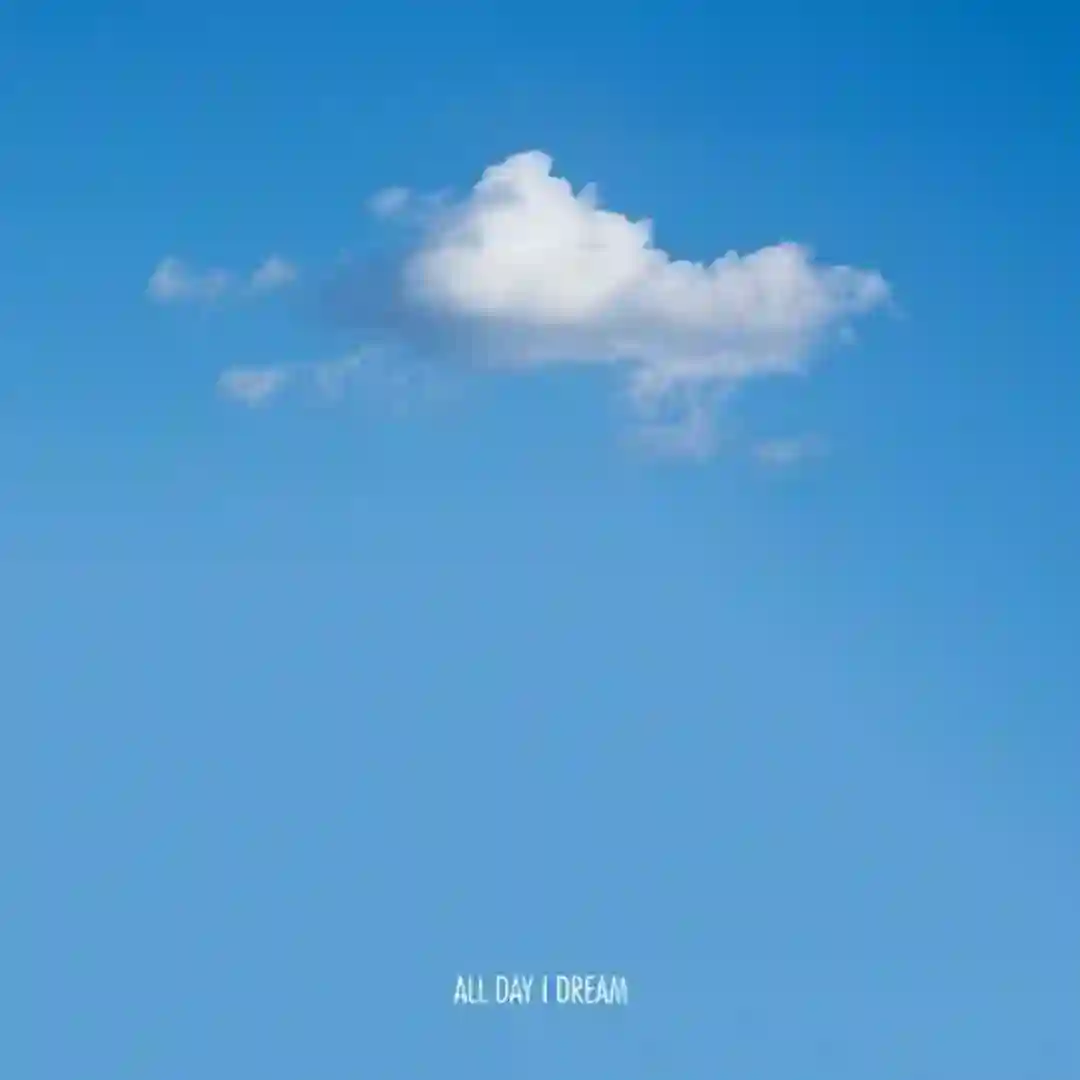 Anima (Original Mix) cover