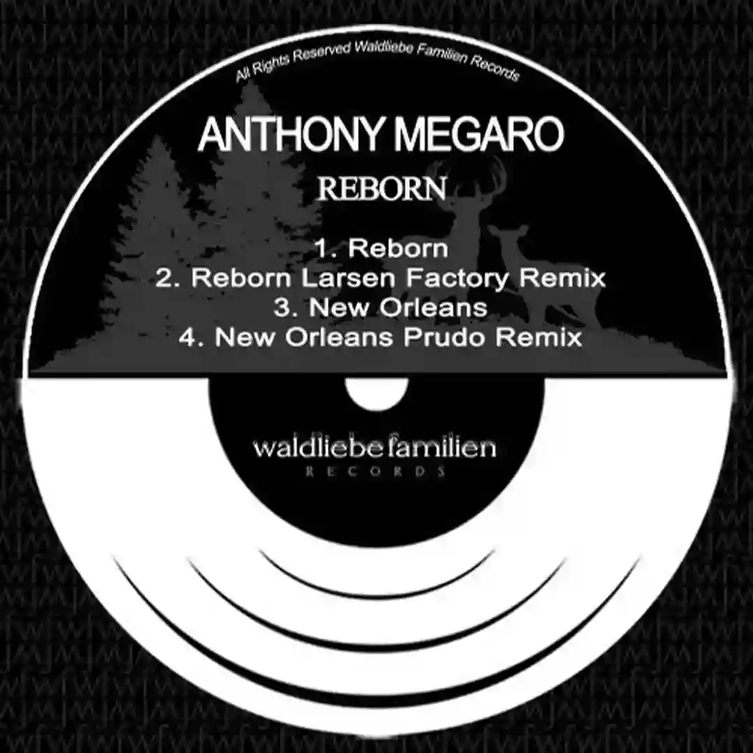Reborn cover