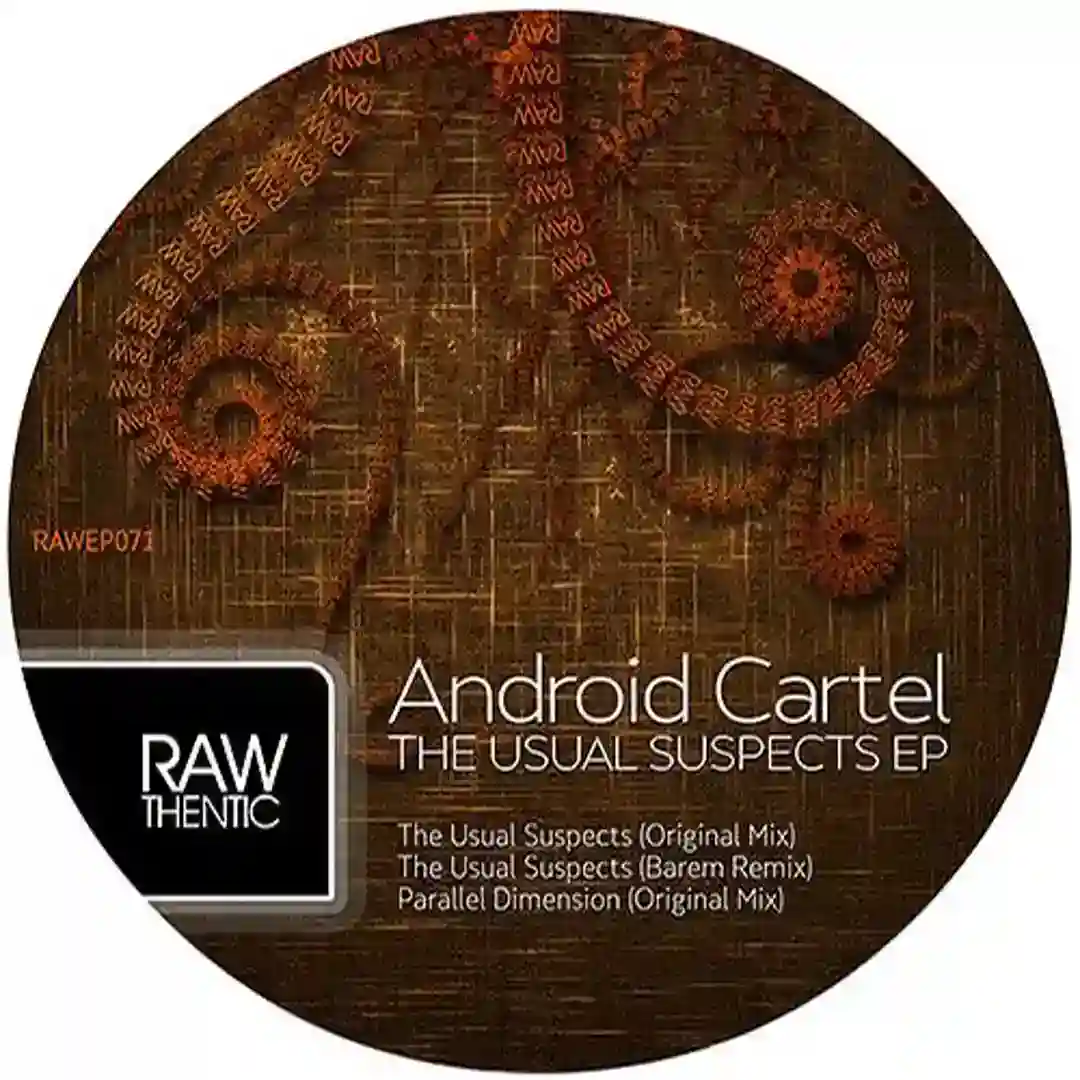 The Usual Suspects (Barem Remix) cover