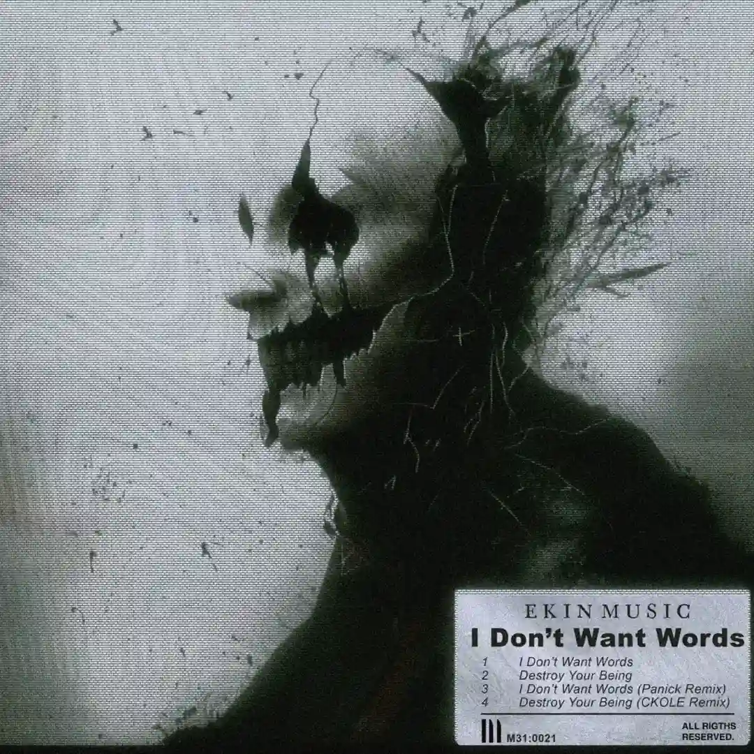 Destroy Your Being (Original Mix) cover