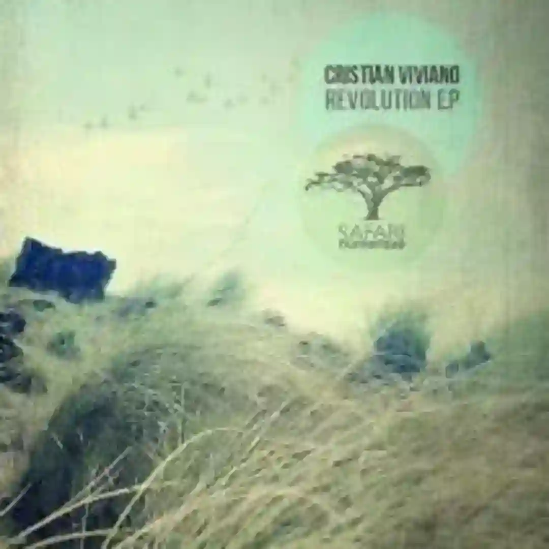 Revolution (Original Mix) cover