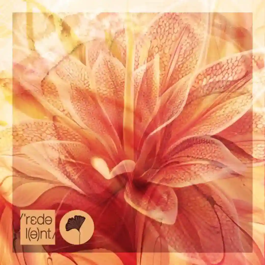 Outra Vez cover