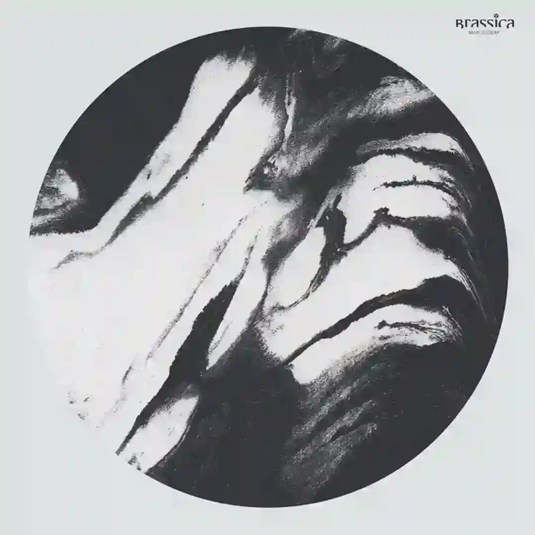 No Apocalypse cover