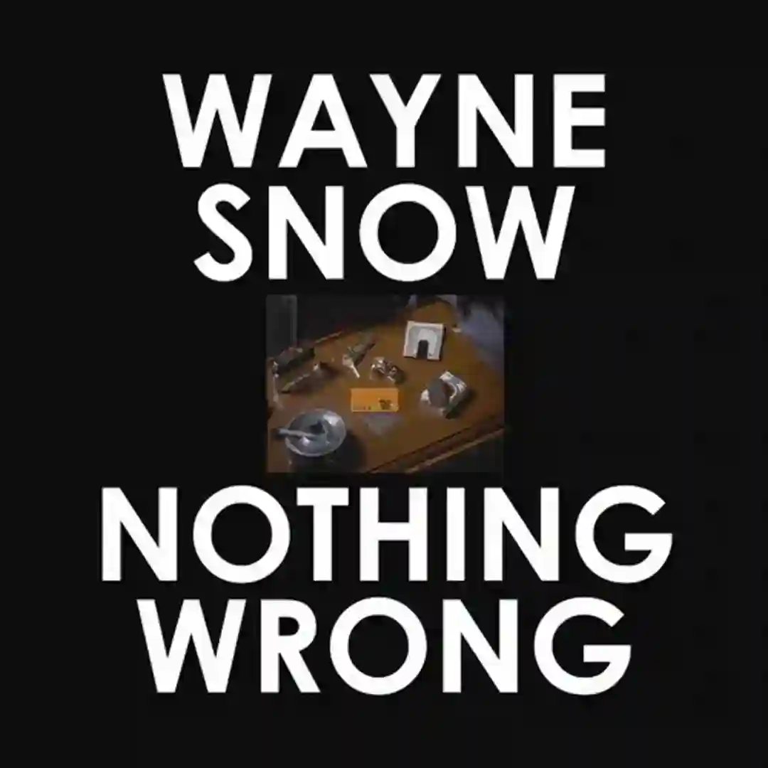 Nothing Wrong Remixes cover