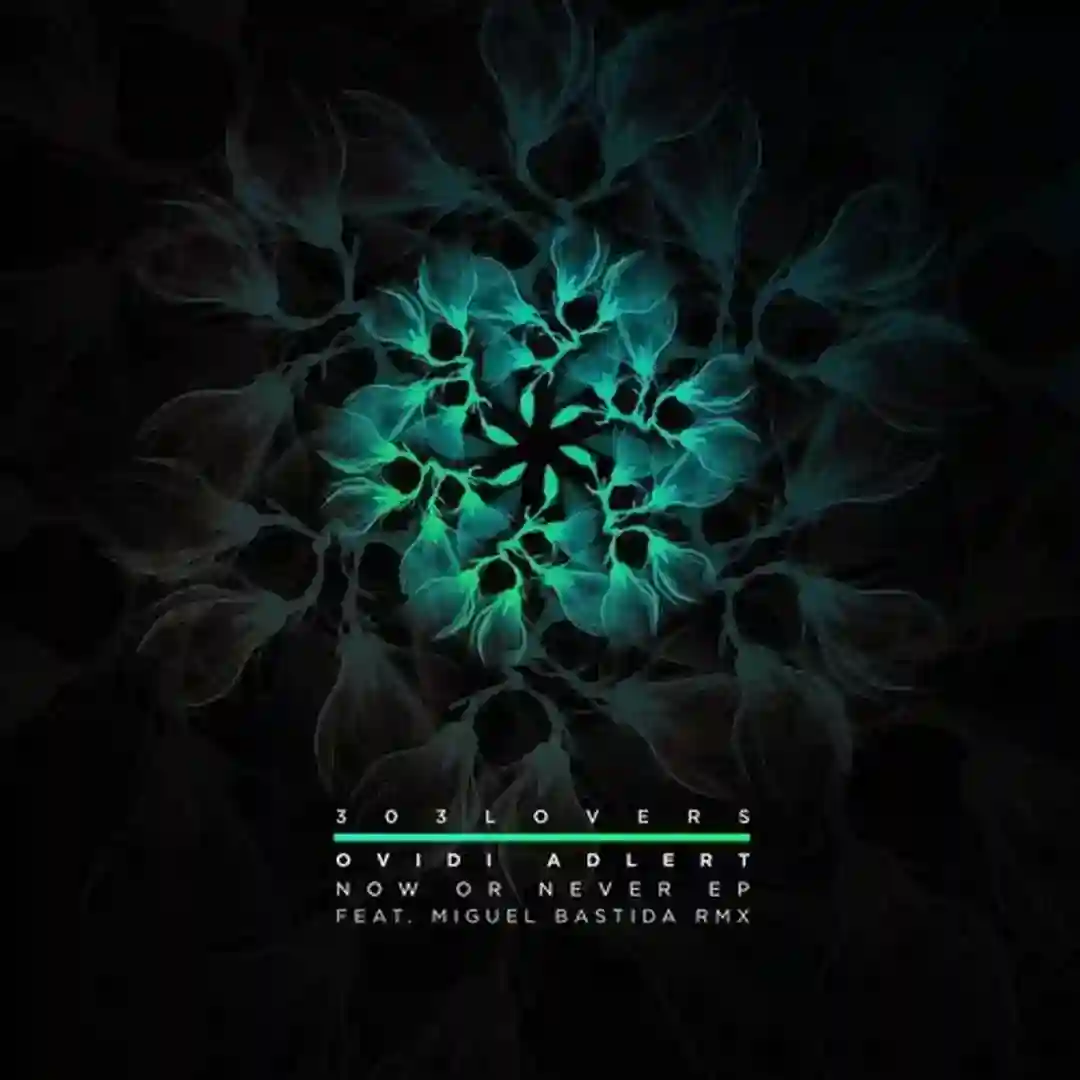 Now Or Never EP cover